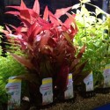 Zeewateraquarium Zeewateraquarium